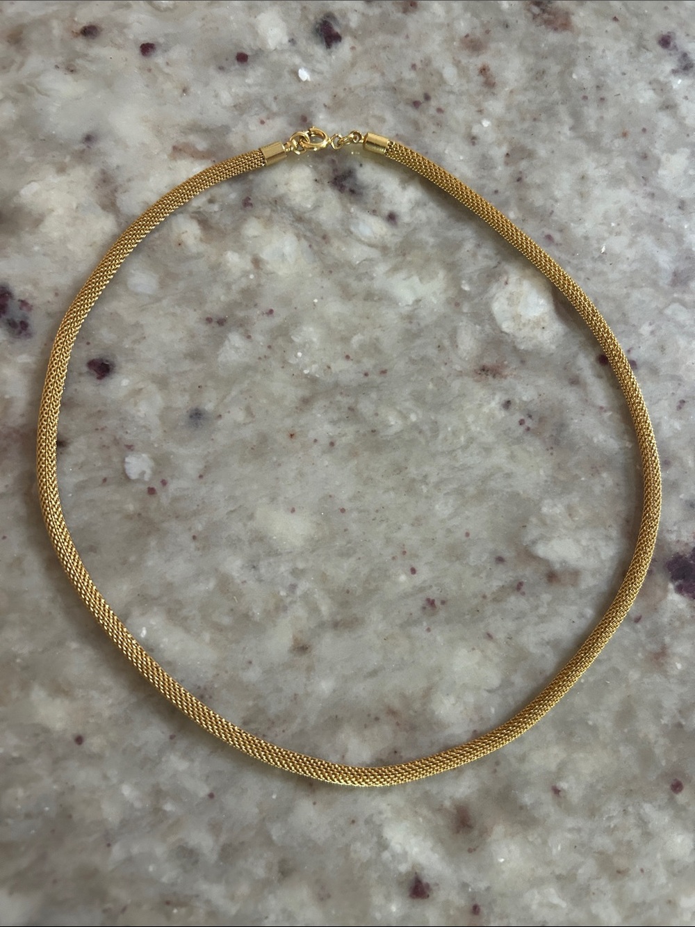 NWOT Gold Mesh Chain Necklace